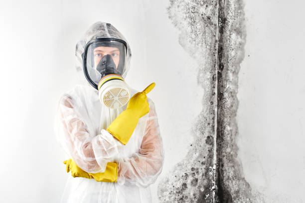 Best Mold Removal for HVAC Installations  in Kings Grant, NC